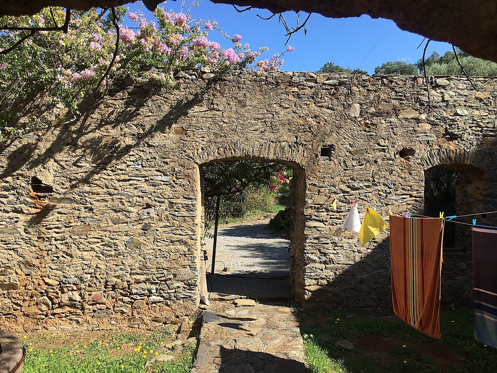 Alte Olivenpresse